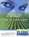 Pledge eclat [800x600].jpg